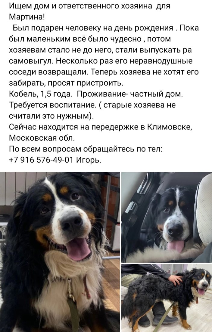 Screenshot_20221207-165644_VK.jpg