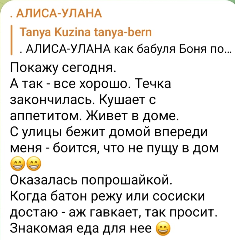 Screenshot_20221228-135154_Telegram.jpg