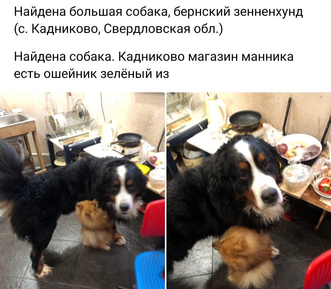 Screenshot_20230101_144357_VK.jpg