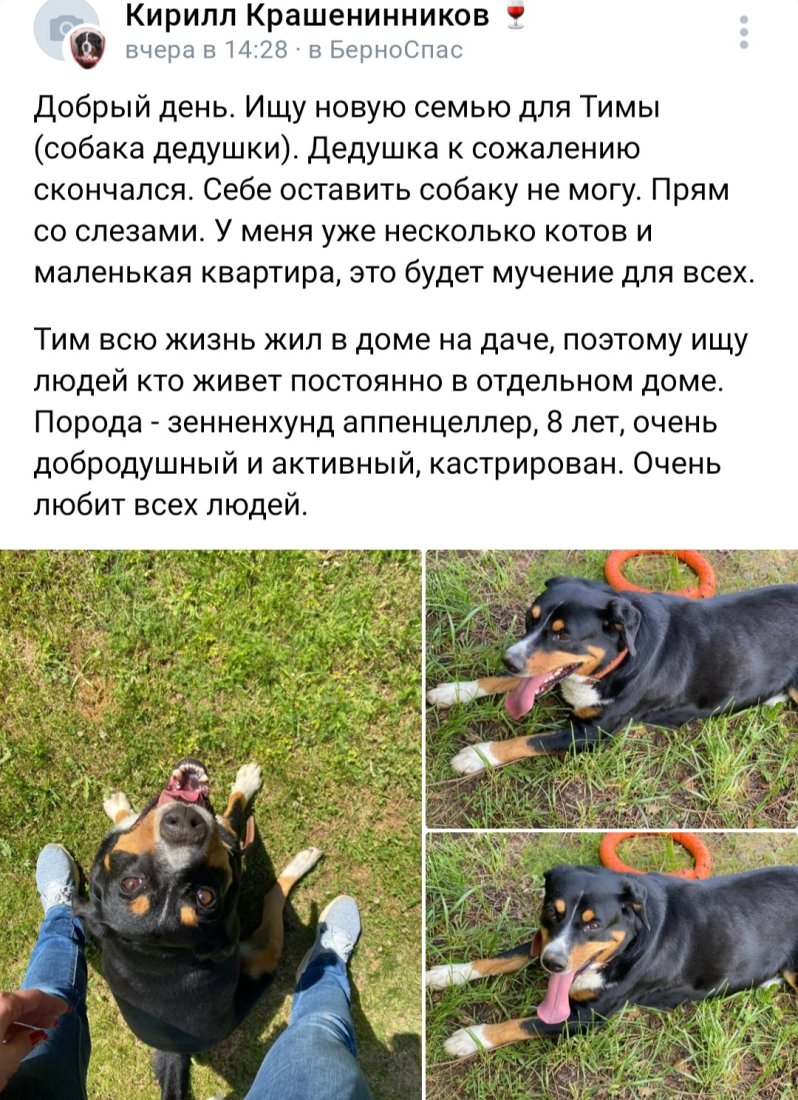 Screenshot_20230101_172443_VK.jpg