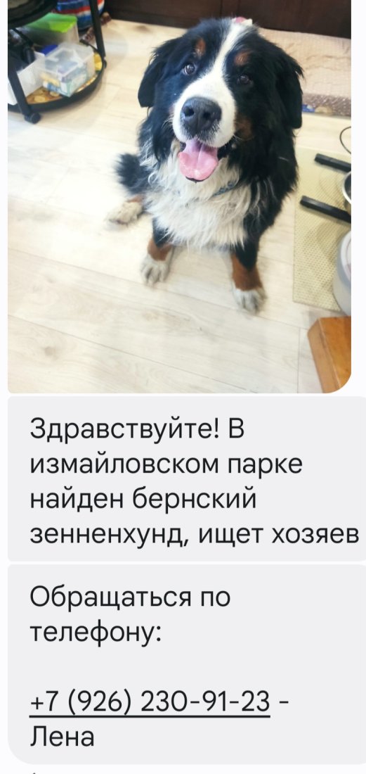 Screenshot_20230102_172756_Messages.jpg