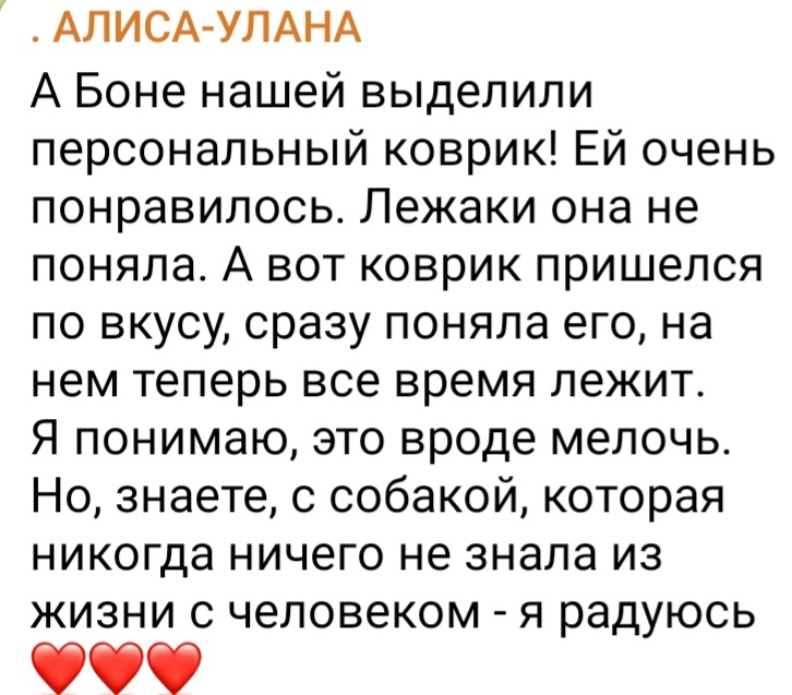 Screenshot_20230109_210247_Telegram.jpg