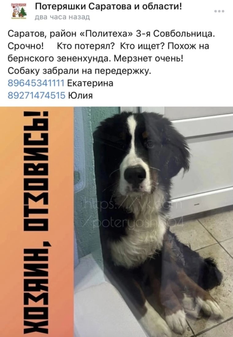 Screenshot_20230110_122711_VK.jpg