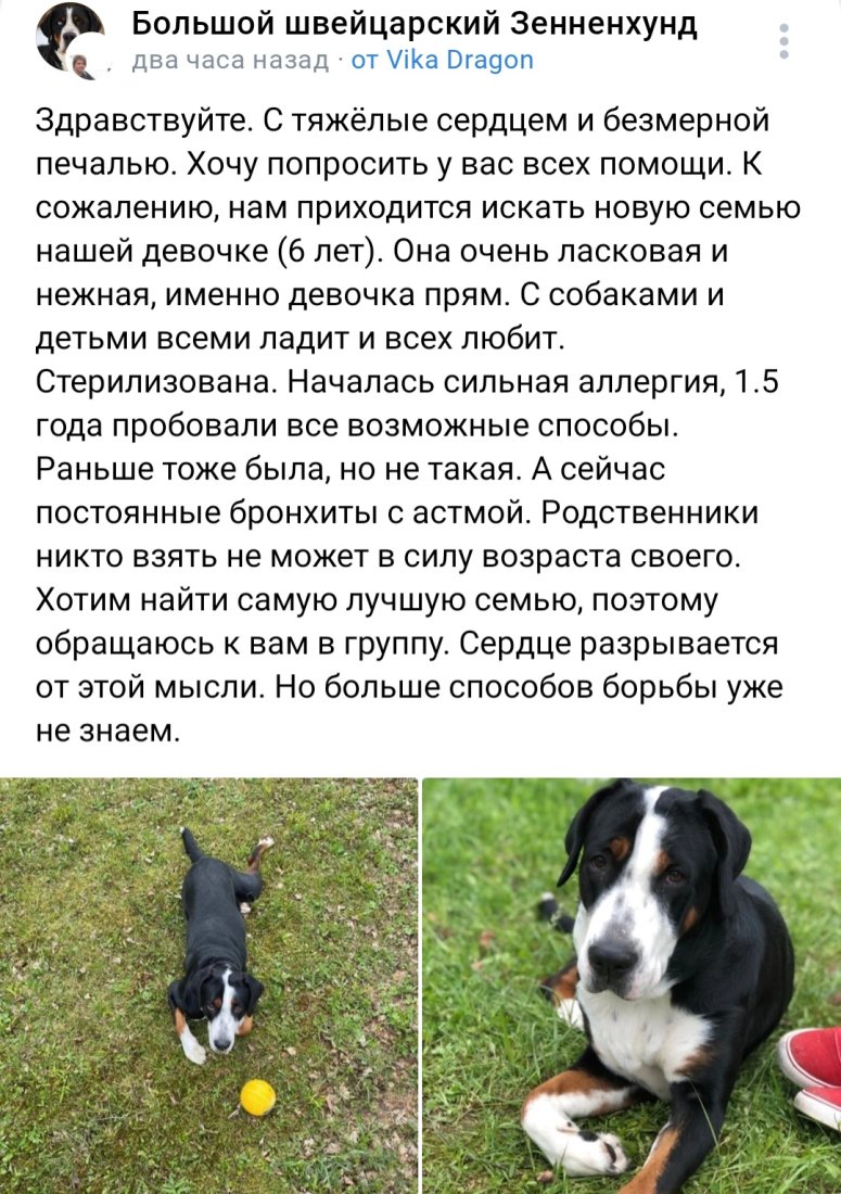 Screenshot_20230115_223513_VK.jpg