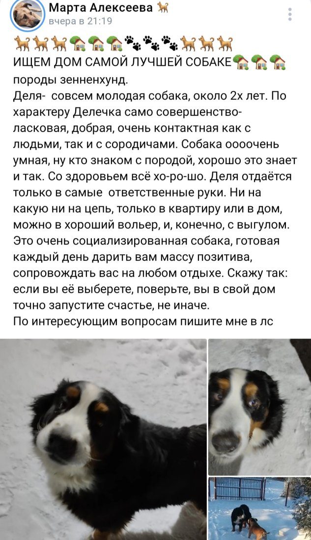 Screenshot_20230116_100909_VK.jpg