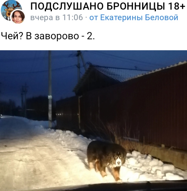 Screenshot_20230117_202638_VK.jpg