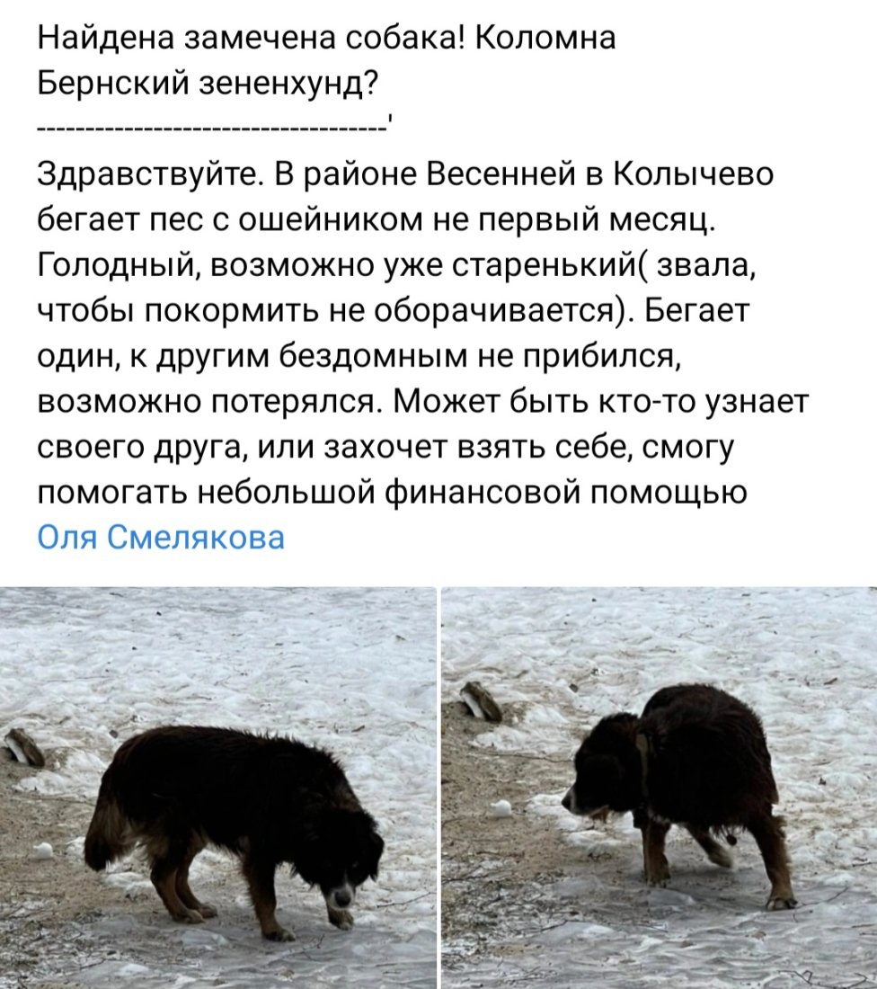 Screenshot_20230118_134854_VK.jpg