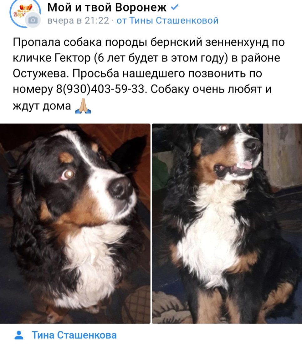 Screenshot_20230119_055926_VK.jpg
