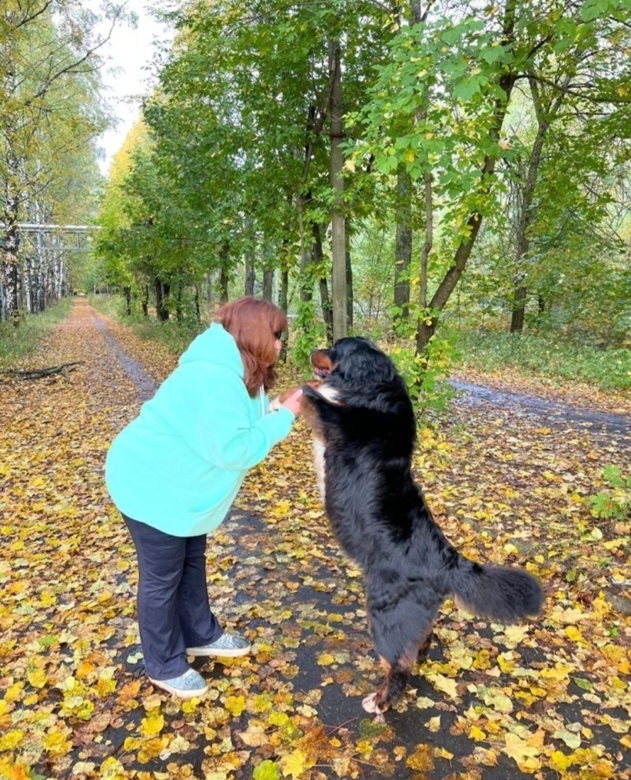 Screenshot_20230120_110314_VK.jpg