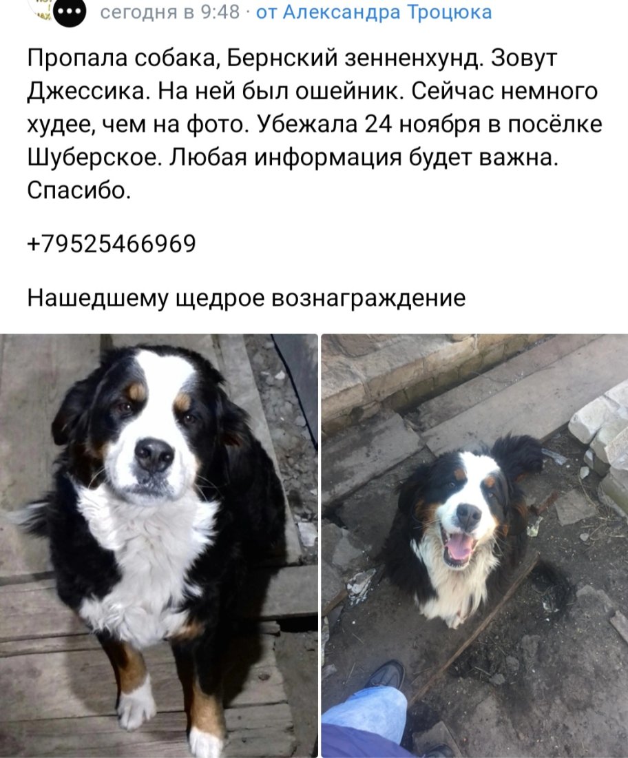 Screenshot_20230122_173501_VK.jpg