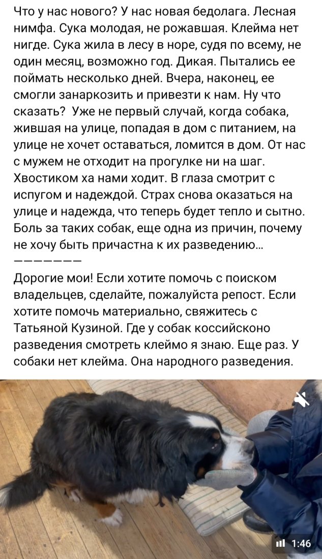 Screenshot_20230227_171342_VK.jpg