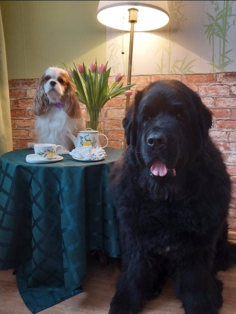 Screenshot_20230308_065411_Gallery.jpg