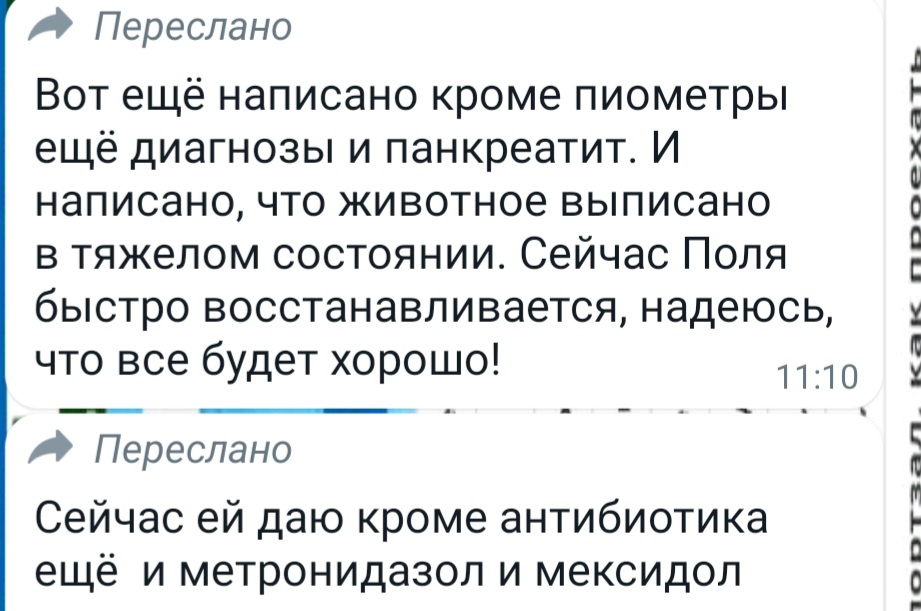Screenshot_20230329_073234_WhatsApp.jpg