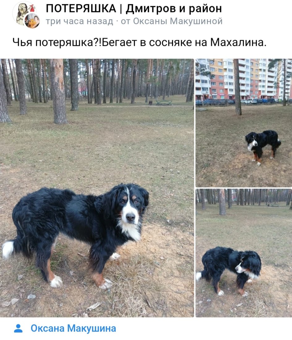 Screenshot_20230329_151719_VK.jpg