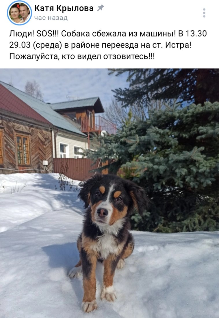 Screenshot_20230329_153048_VK.jpg