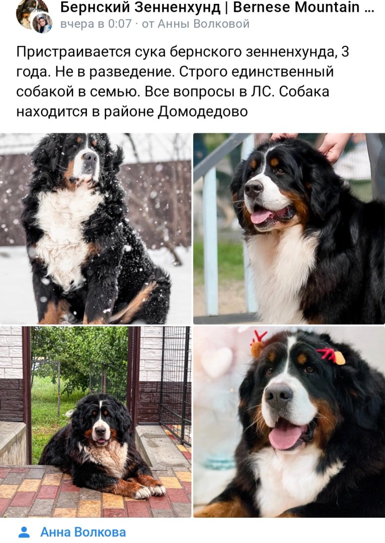 Screenshot_20230412_190524_VK.jpg