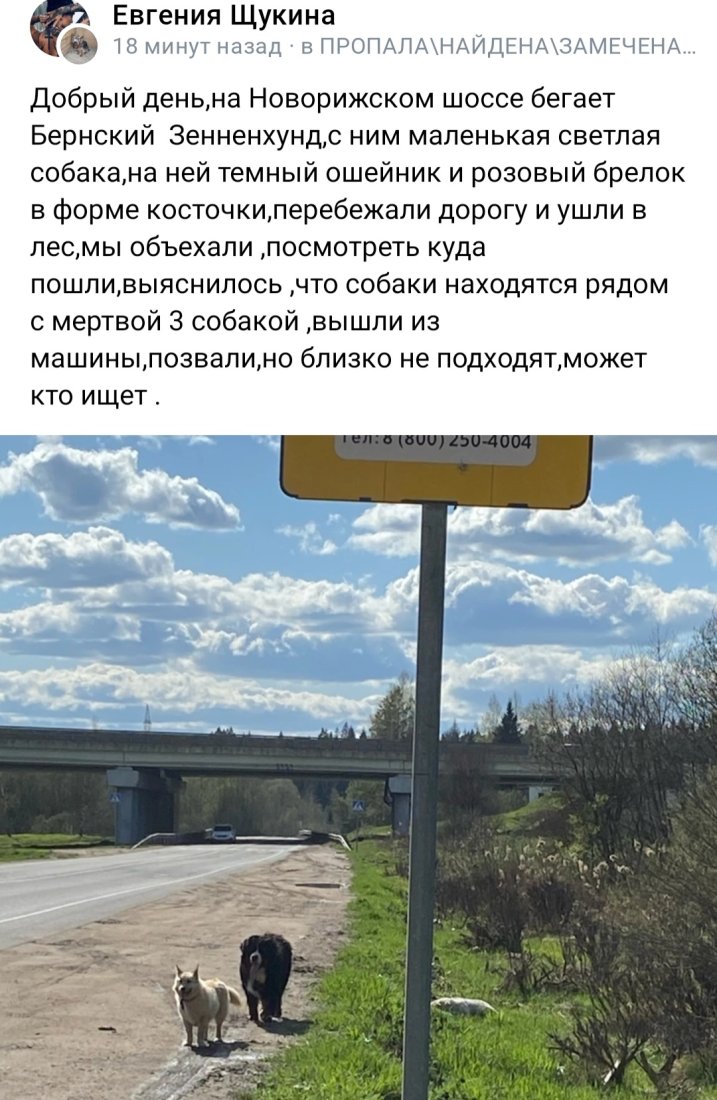 Screenshot_20230429_160739_VK.jpg
