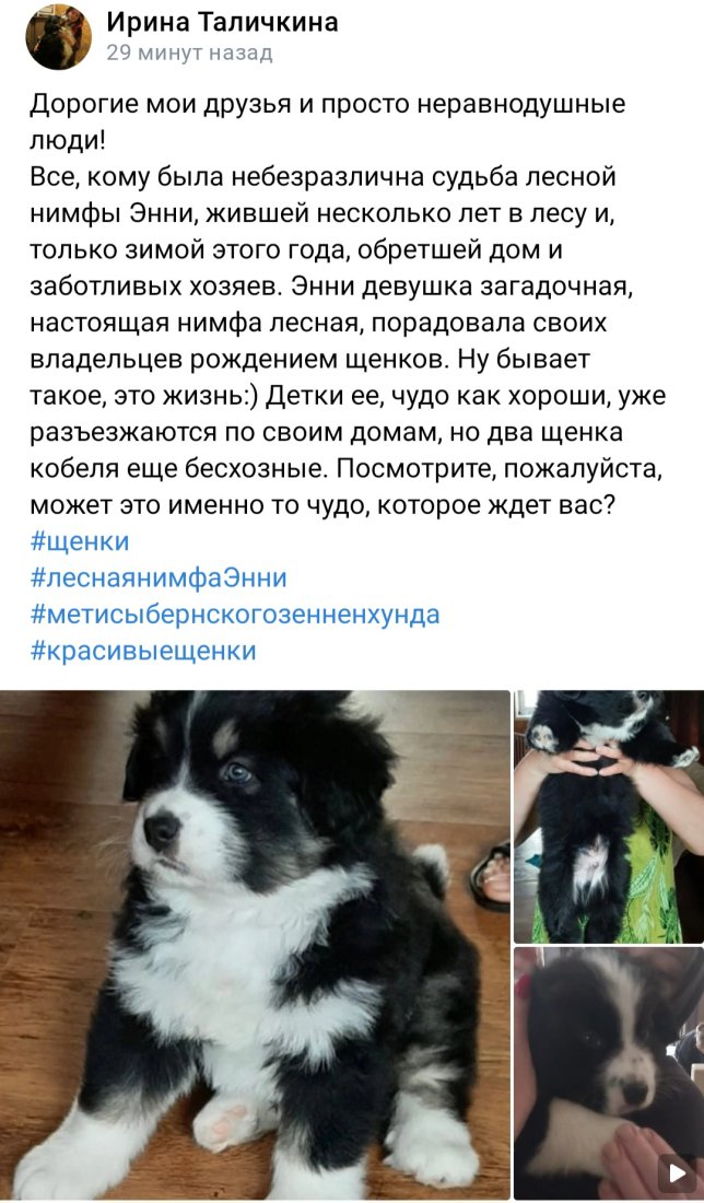 Screenshot_20230529_124458_VK.jpg