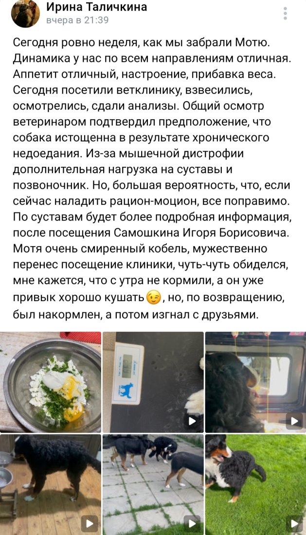 Screenshot_20230610_103342_VK.jpg