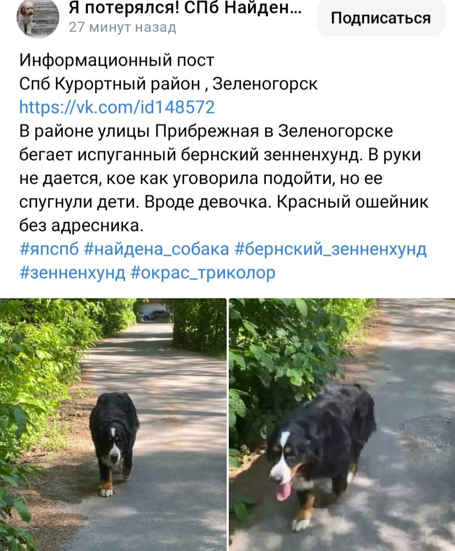 Screenshot_20230612_163803_VK.jpg