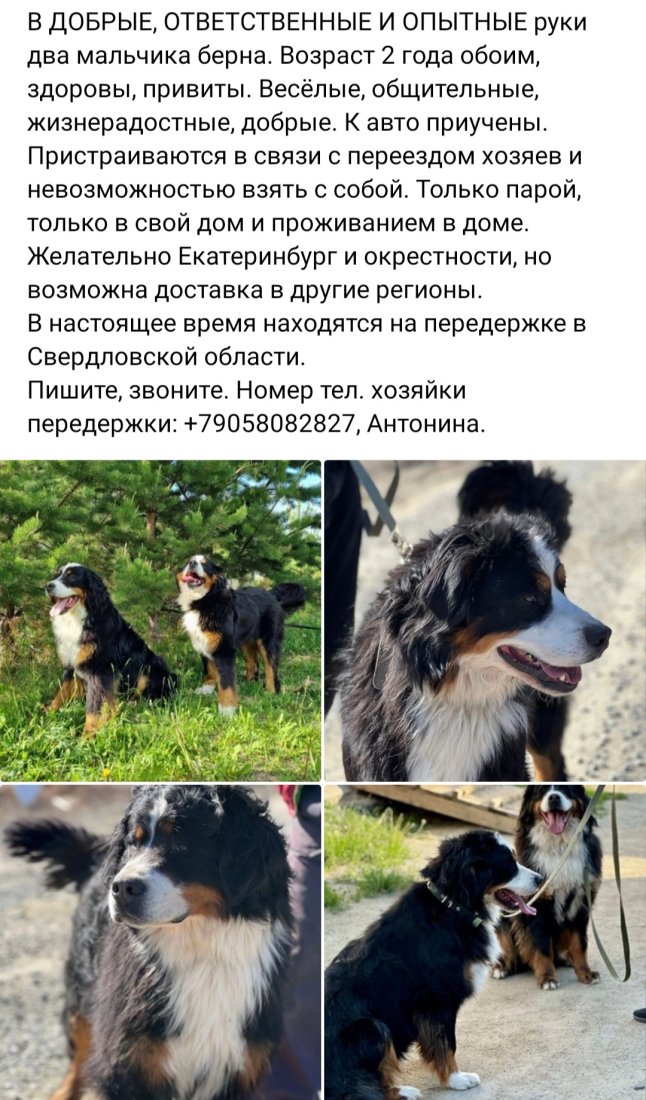 Screenshot_20230625_214959_VK.jpg
