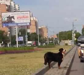 Screenshot_20230625_221832_VK.jpg