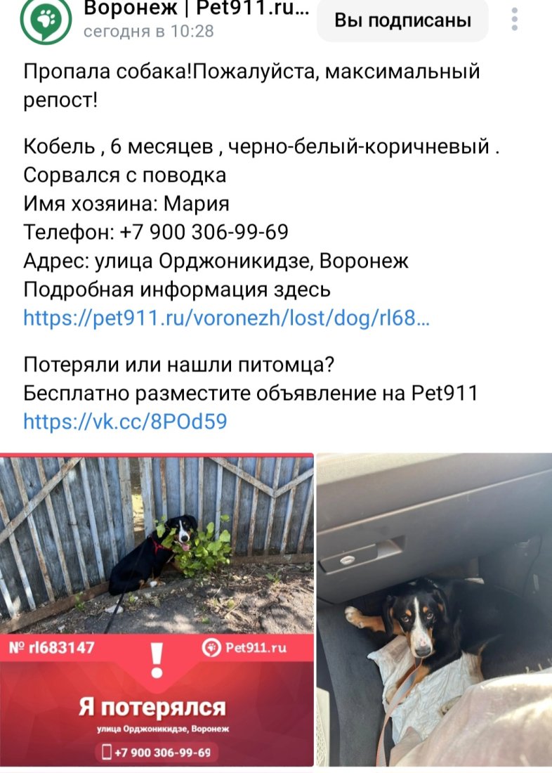 Screenshot_20230626_153002_VK.jpg