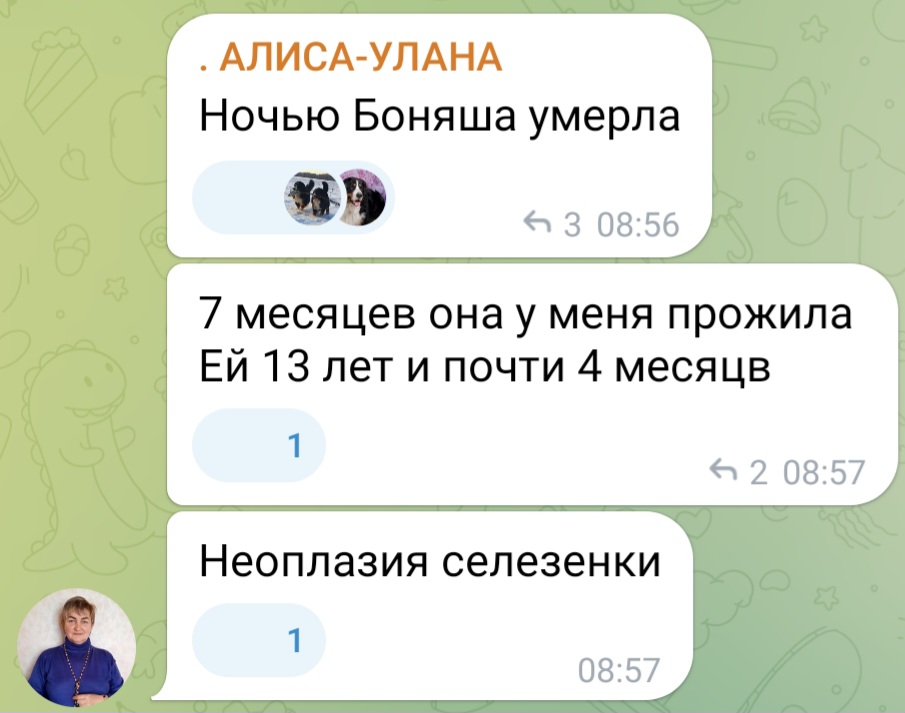 Screenshot_20230628_095840_Telegram.jpg