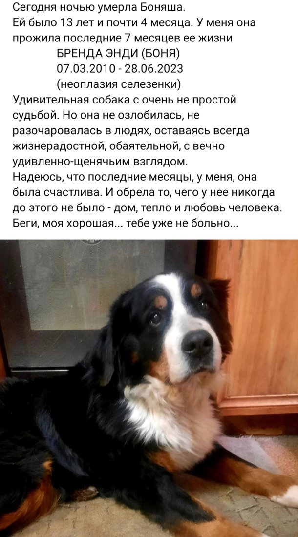 Screenshot_20230628_194259_VK.jpg