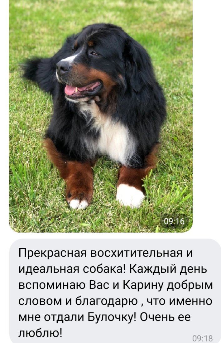 Screenshot_20230705_095120_VK.jpg