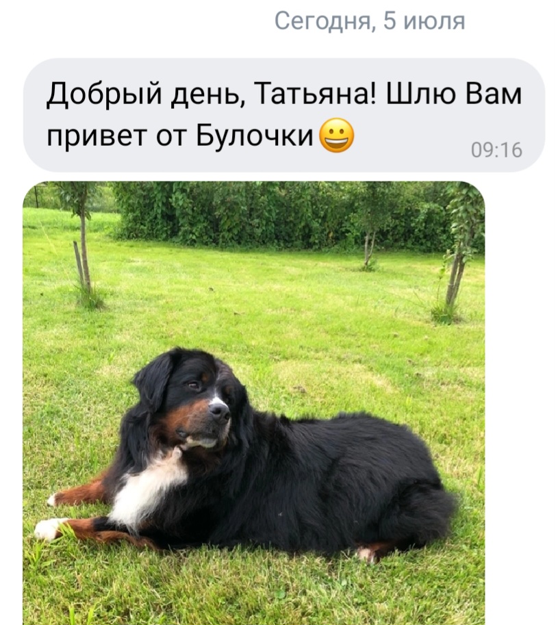Screenshot_20230705_095125_VK.jpg