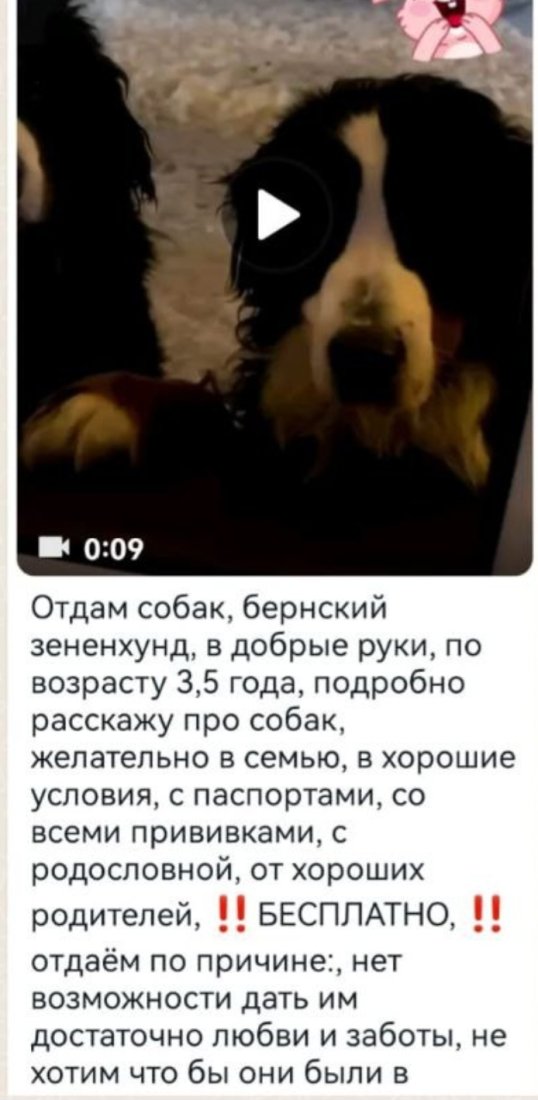 Screenshot_20230715_065832_Telegram.jpg