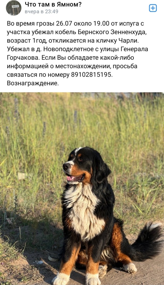 Screenshot_20230727_103015_VK.jpg