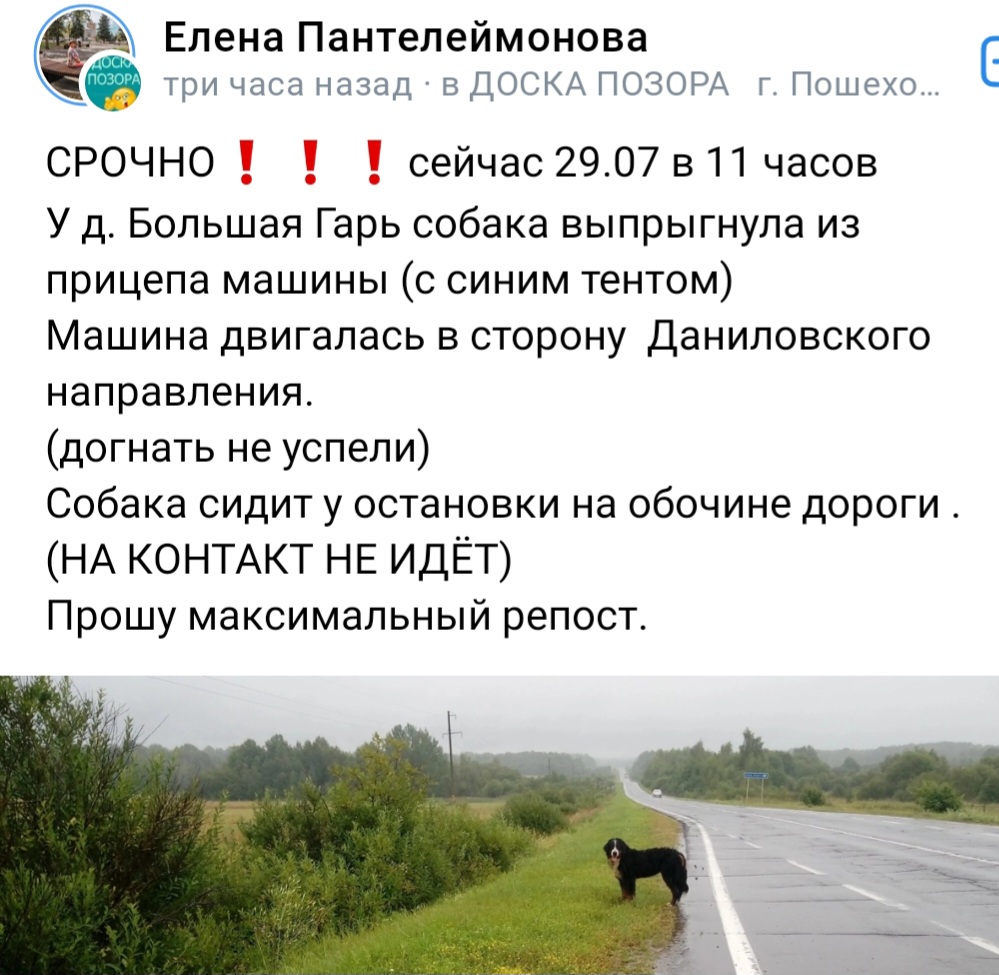 Screenshot_20230729_161539_VK.jpg
