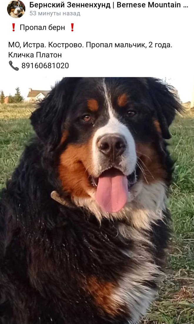 Screenshot_20230804_200950_VK.jpg
