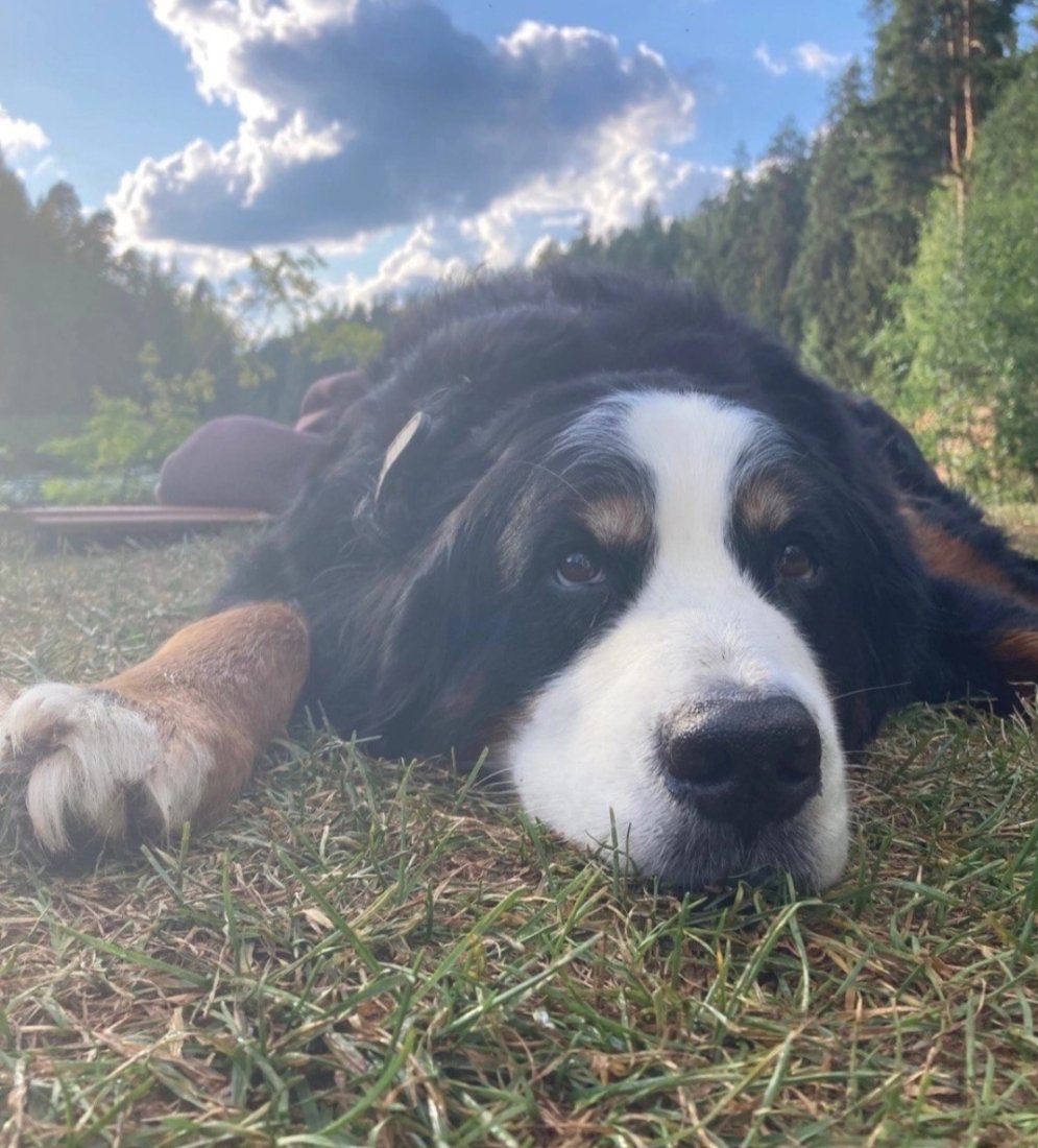 Screenshot_20231005_115720_VK.jpg