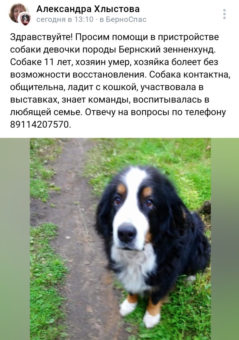 Screenshot_20231009_205415_VK.jpg