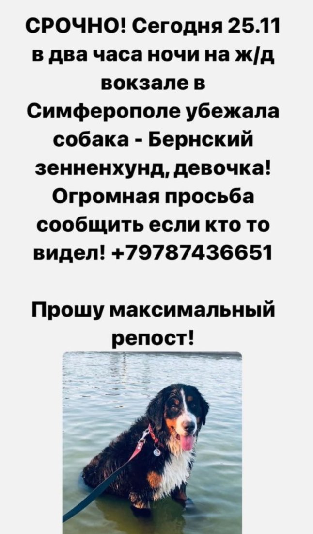 Screenshot_20231125_163216_Telegram.jpg