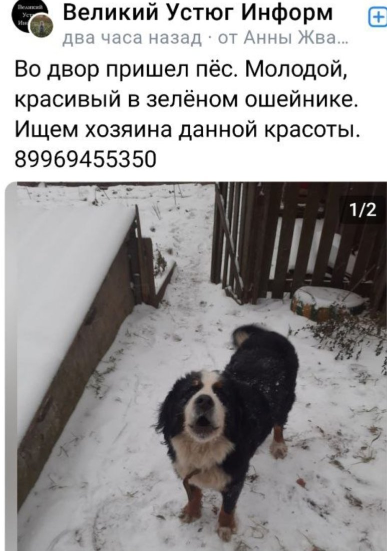 Screenshot_20231127_171127_Telegram.jpg