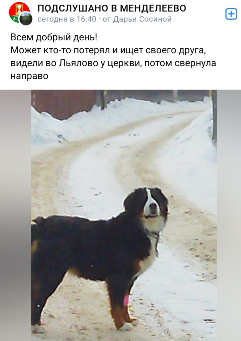 Screenshot_20231207_223809_VK.jpg