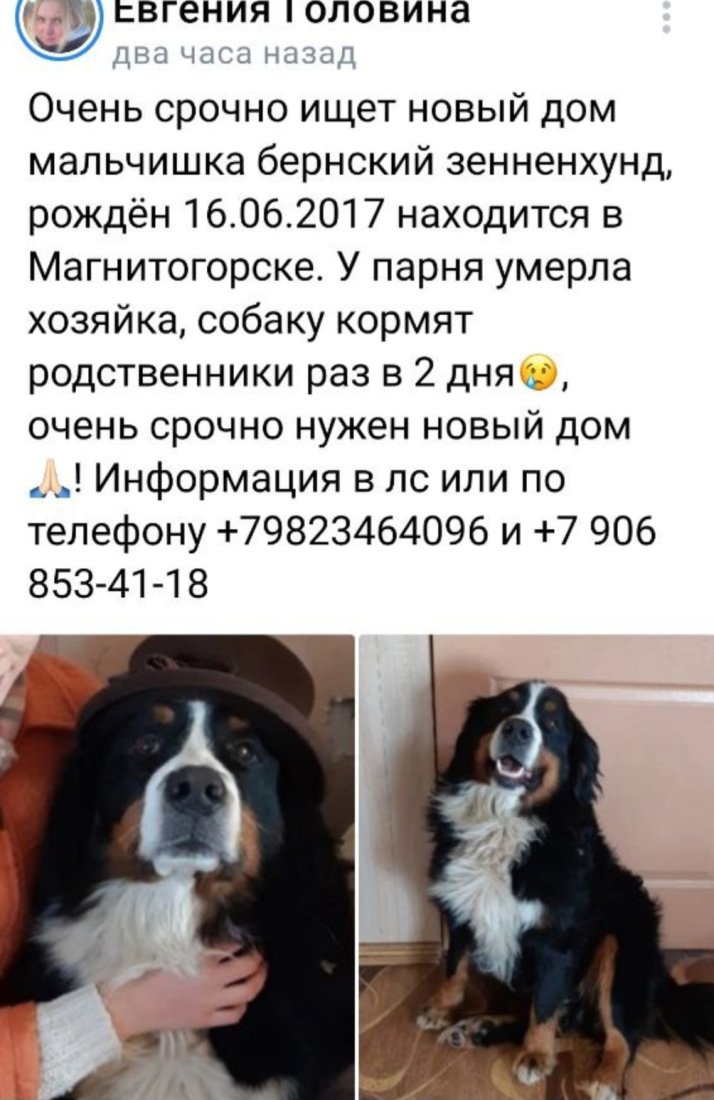 Screenshot_20231217_173500_Telegram.jpg