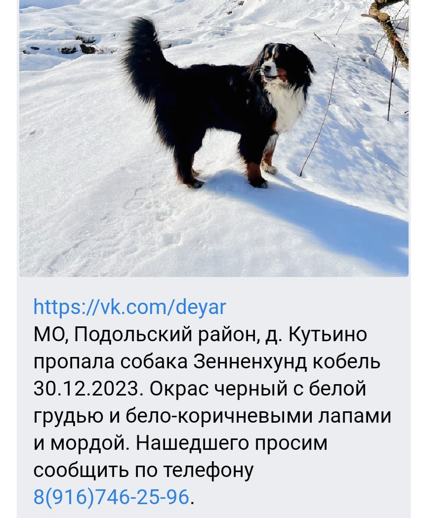Screenshot_20240101_080614_VK.jpg