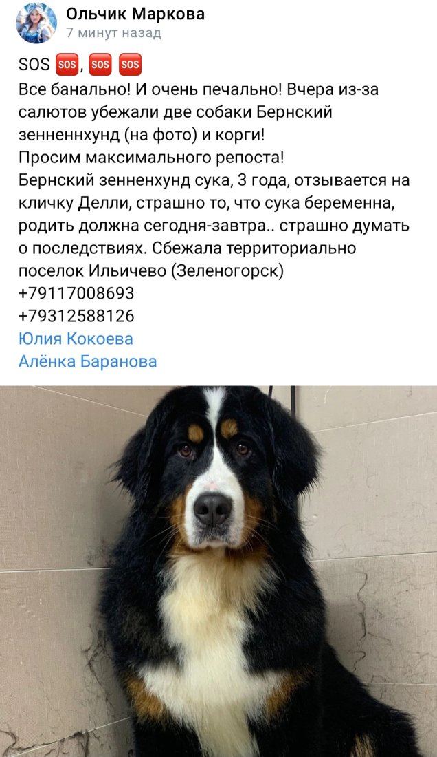 Screenshot_20240101_160203_VK.jpg