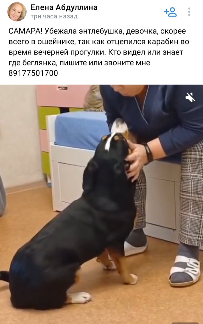 Screenshot_20240103_163011_VK.jpg