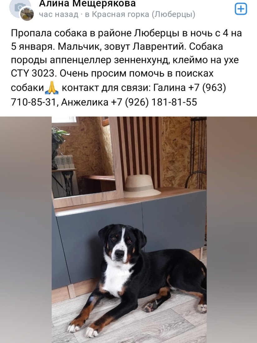 Screenshot_20240105_134610_VK.jpg