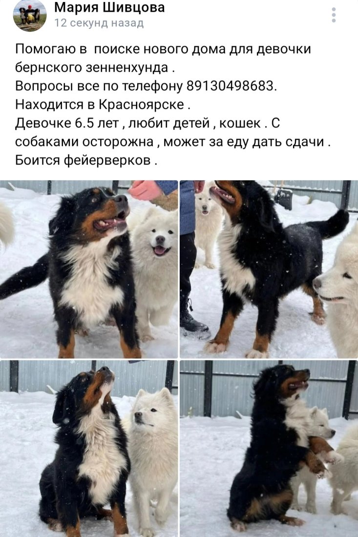 Screenshot_20240112_104131_VK.jpg