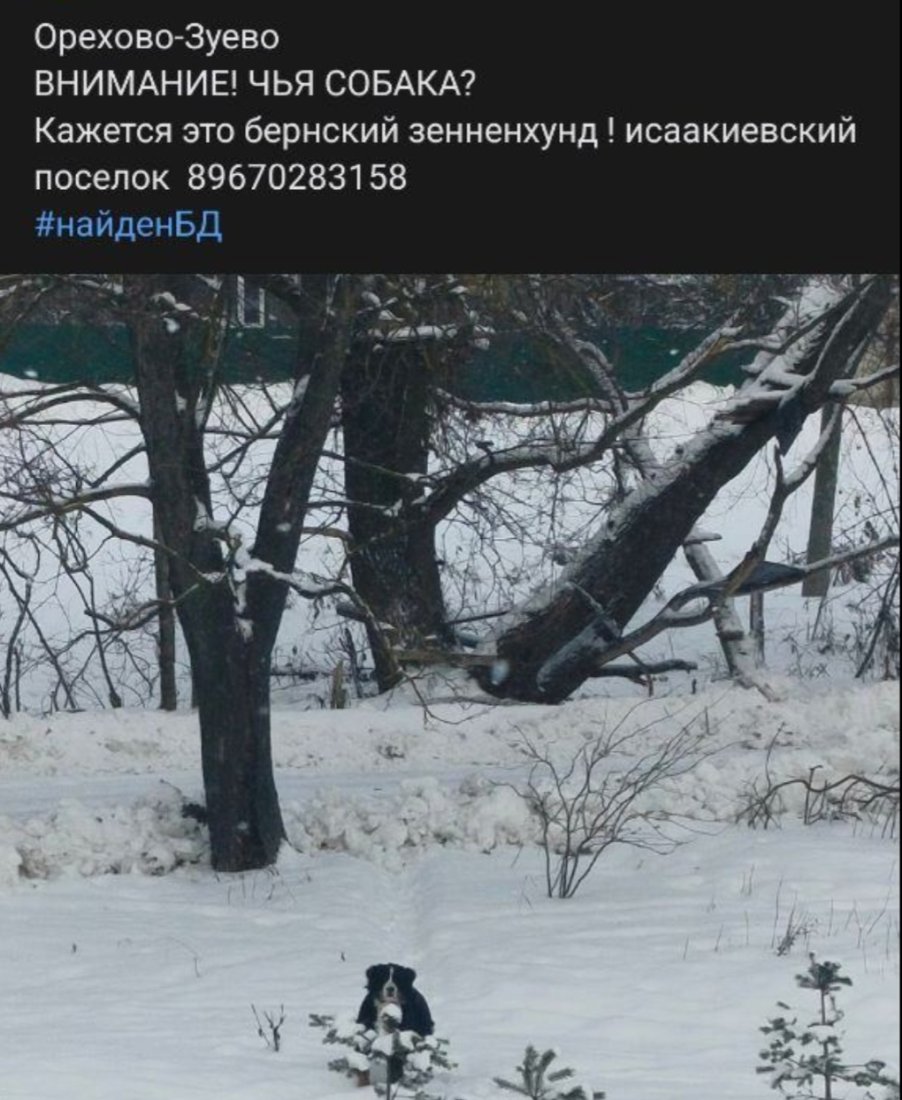 Screenshot_20240114_220718_Telegram.jpg