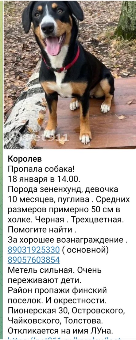 Screenshot_20240118_201603_Telegram.jpg