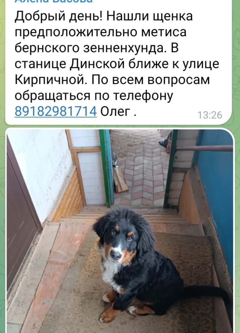 Screenshot_20240121_133007_Telegram.jpg