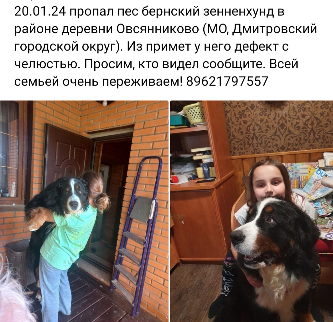 Screenshot_20240121_201916_VK.jpg